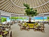 Restaurace